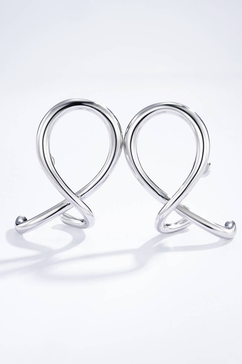 124AQ344 stainless steel earrings