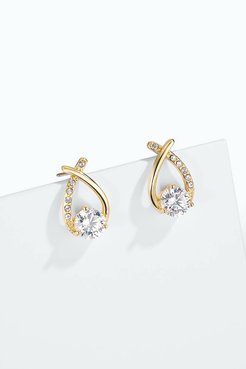 Stainless steel earrings 124AQ654