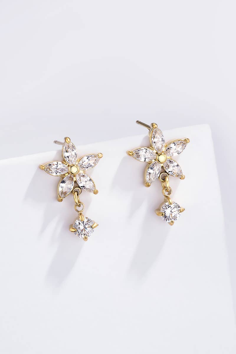 Stainless steel earrings 124AQ552