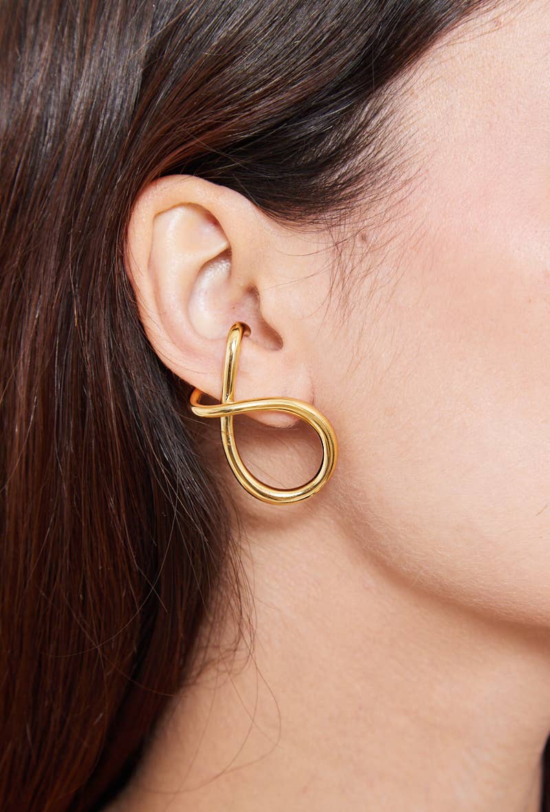 124AQ344 stainless steel earrings