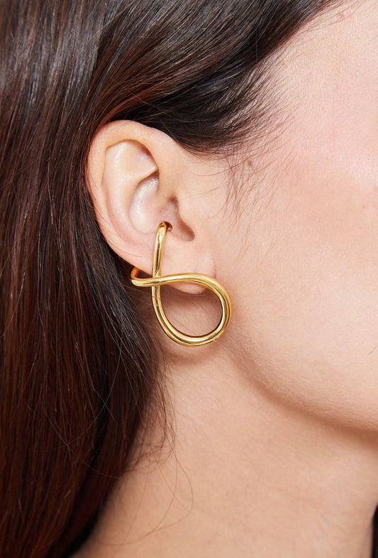 124AQ344 stainless steel earrings