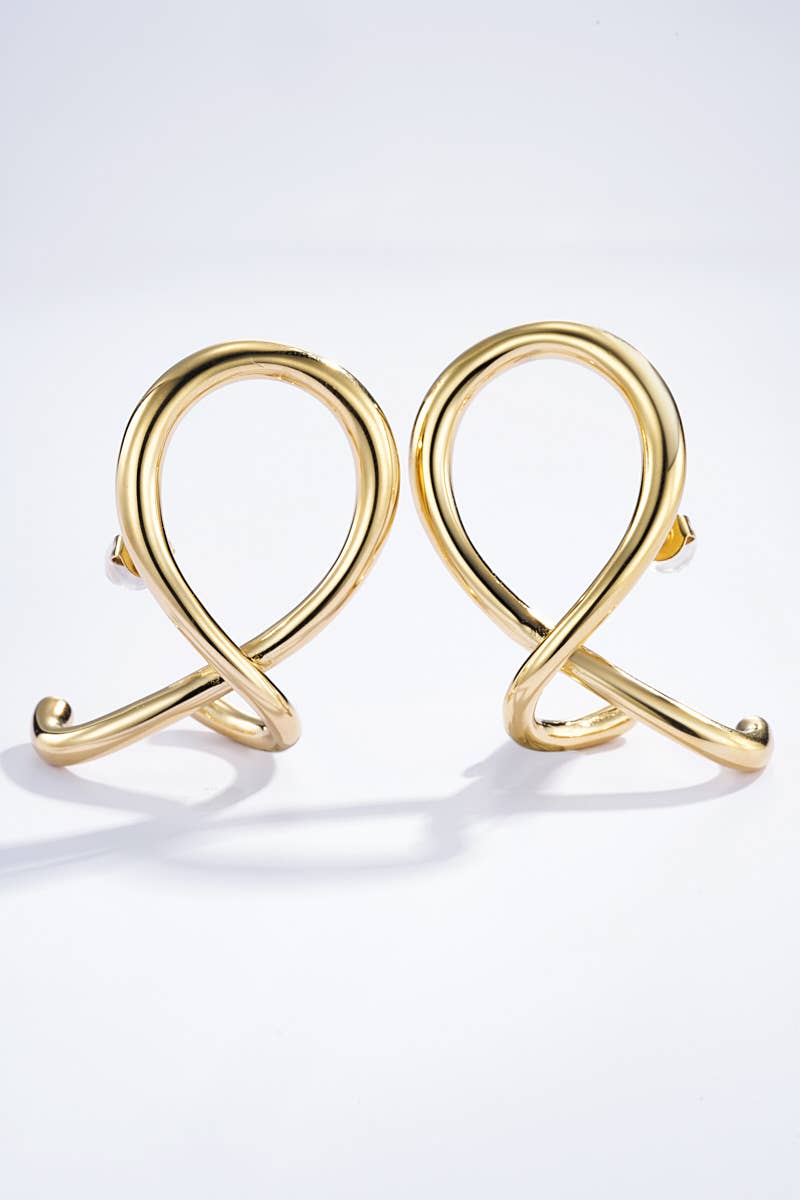 124AQ344 stainless steel earrings