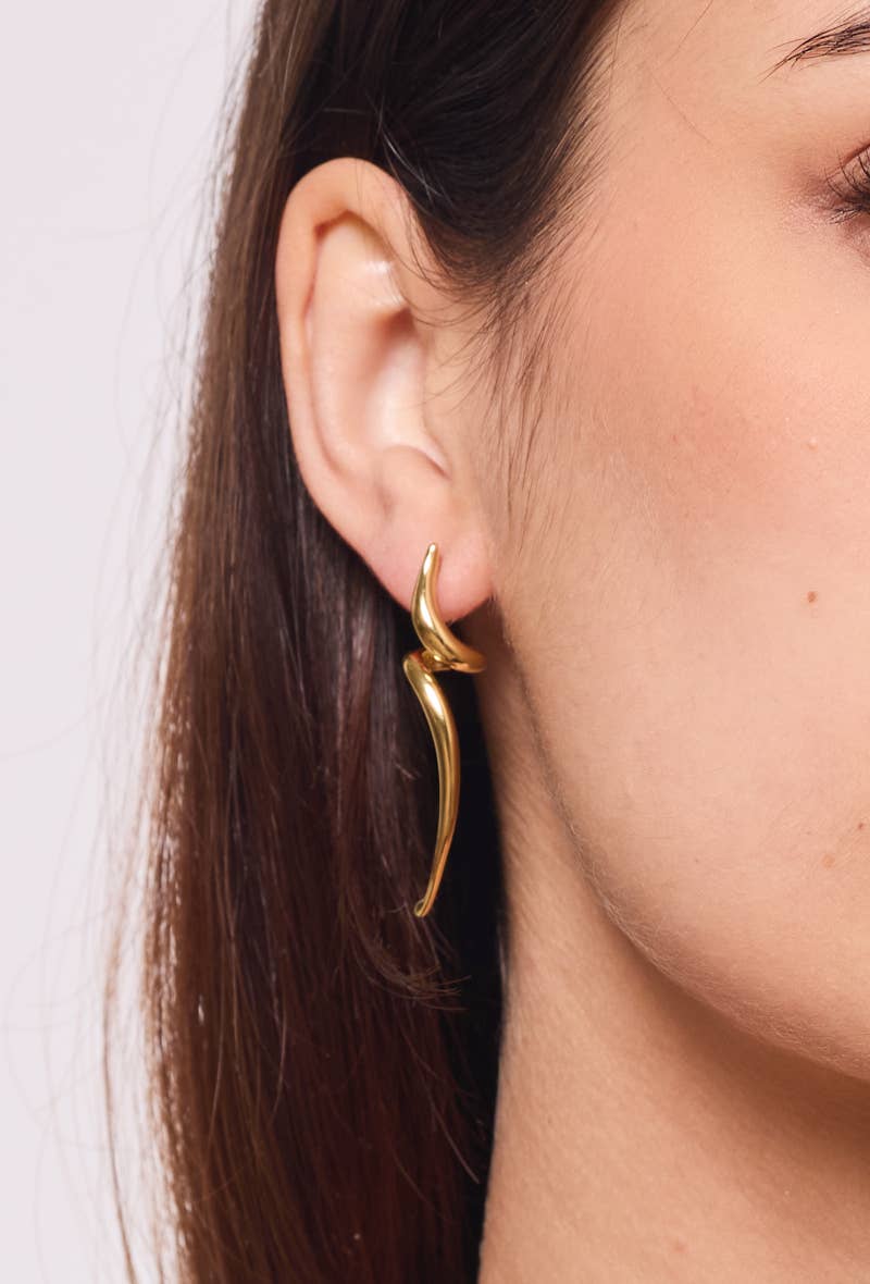 Stainless steel earrings 124AQ388