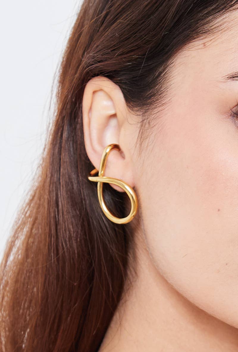 124AQ344 stainless steel earrings