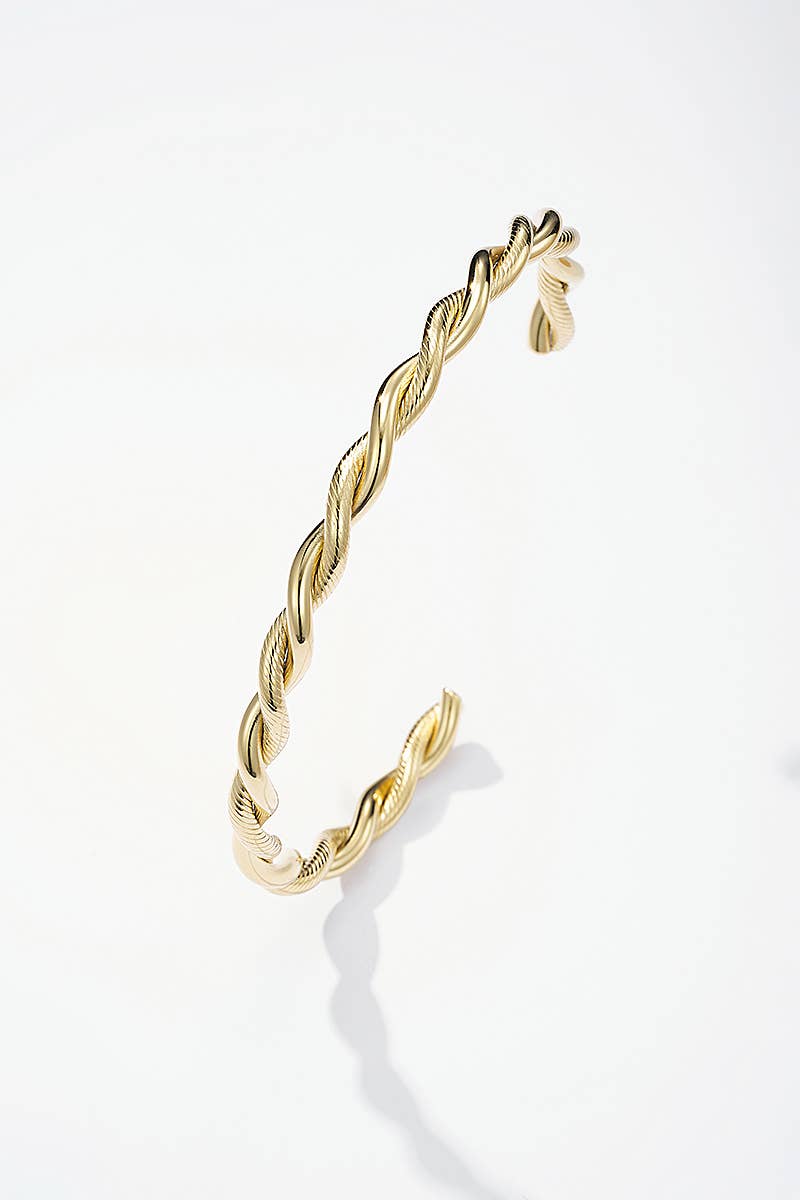 Stainless steel bangle 324AQ192